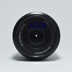 ADN （狗头军师）