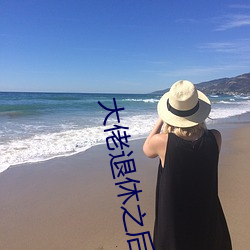 大佬退休之后