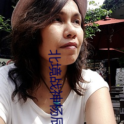 北境战神杨(楊)辰(辰)