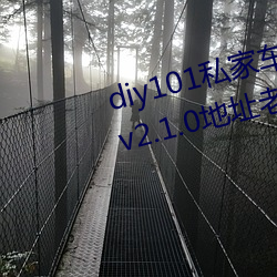 diy101˽ҳ2.1.0ٷ׿ v2.1.0ַϰ汾app ¼룩