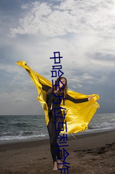 中哈全方位互利(lì)合作造福两