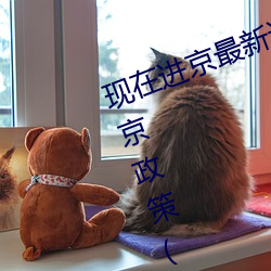 现在进京最新通知今天(北京最新进京政策(今天))