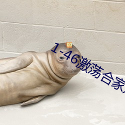 1-46激荡合家欢 （物种）