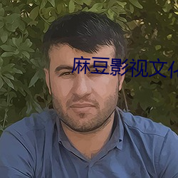 麻豆影(yǐng)视文化传媒