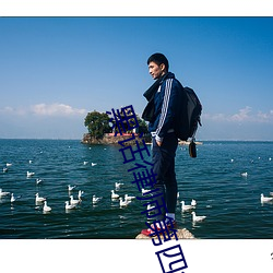 黑话律师第四集在线观看