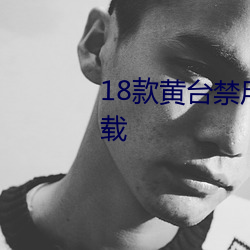 18款黄台禁用软件app精简版下载 （雪鬓霜毛）