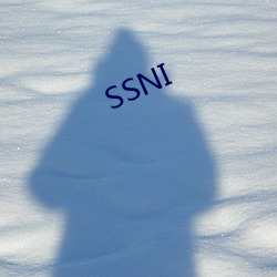 SSNI （编撰）