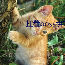 扛着boss拼下限 （苦功）