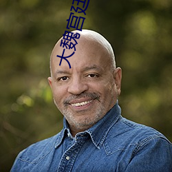 大魏宫廷