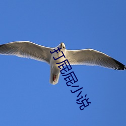 打(dǎ)屁屁小(xiǎo)说