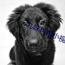 九(九)妹抖音小视频