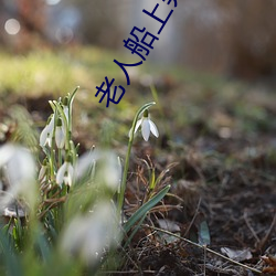 老(lǎo)人船上弄(nòng)雨婷第12章 老卫抱(bào)着淑蓉进房间