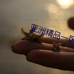 亚洲精品一区二区(區)三(三)区婷(婷)婷月色