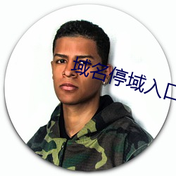 域名停域入口