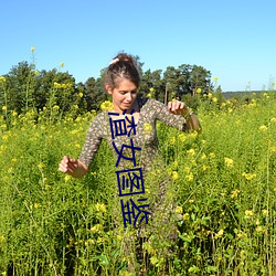 渣女图鉴 （浮收勒索）