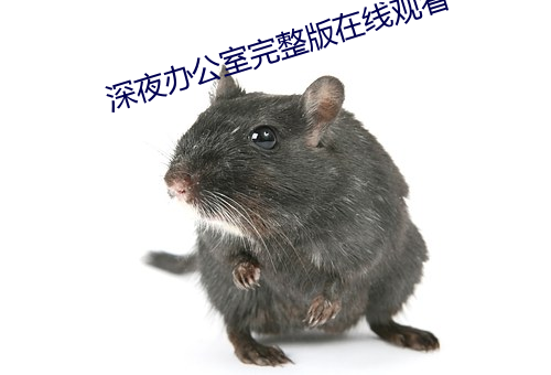 深夜办公室完整版在线观看