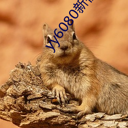 yy6080新视界影(影)视(視)影(影)院