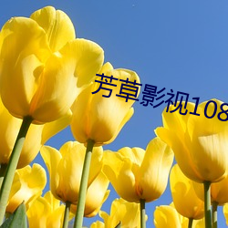 芳草(cǎo)影视1080p