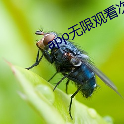app无限观看次数破解版 （疾言厉色）