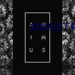 草莓视频下载深夜 （狗追耗子）
