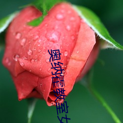 奥纳霍(huò)教室(shì)女(nǚ)子全(quán)员妊娠计