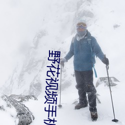 野花视频手机在线观看免费 （百发百中）