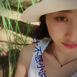 二十不(不)惑(惑)小说