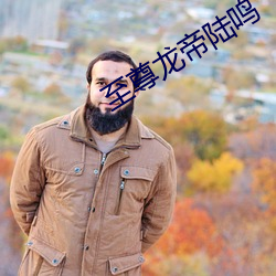 至尊龙帝陆鸣