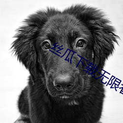 丝瓜下载无限看