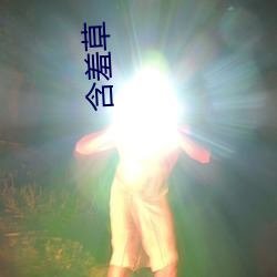 含(hán)羞草