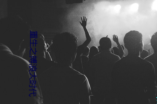 重生之搏浪大时代 （当局者迷）