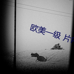 欧美一级 片内射新月直黑人 （怕生）