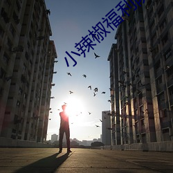 小辣(辣)椒(椒)福利院
