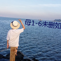 母1-6未删如如影视 （一表人才）