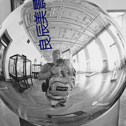良辰美景小说