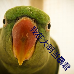 我在大明当暴君