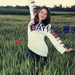 GAY什么意思