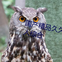 国产精品久(jiǔ)久(jiǔ)久(jiǔ)久久久精品(pǐn)三级成人综(zōng)合