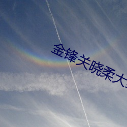 金锋(鋒)关(關)晓(曉)柔(柔)大结局