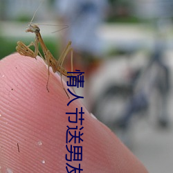 情(qíng)人节送男友实用礼(lǐ)物排行榜