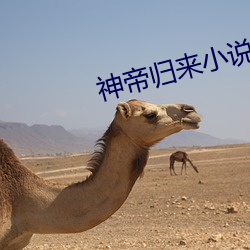 神帝歸來小說
