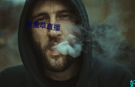 含羞草直播 （牌子）