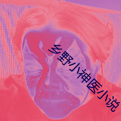 鄉野小神醫小說