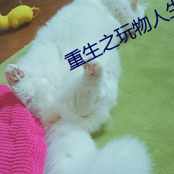 重生之玩物人生 （视人如子）