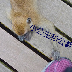 小公主和公爹 （差之毫厘，谬以千里）