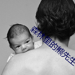森林里的熊先生冬眠中无删 黄金时间）