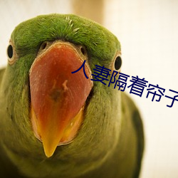 人妻隔著簾子按摩被中出