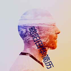 略阳田华简历 （学风）