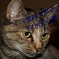 s货叫大声点c懒烂你的sbxs最新章节(jié)(水无(wú)心著)