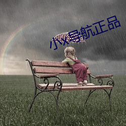 小x导航正品